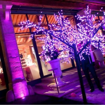 arbre-cerisier-lumineux-blanc-fuchsia