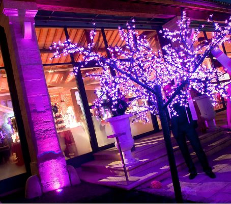 Location Cerisier Lumineux