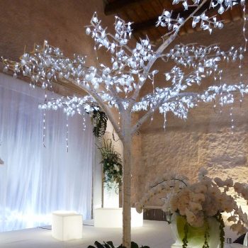 arbre-fichus-lumineux