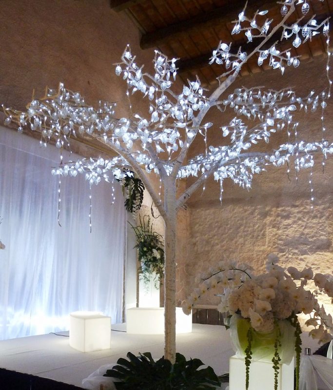 arbre-fichus-lumineux