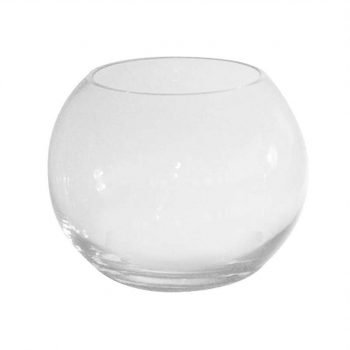 Vase-aquarium