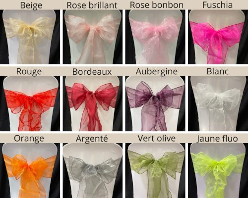 Location Noeuds de chaise en organza
