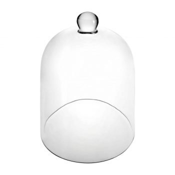 Cloche En Verre 1