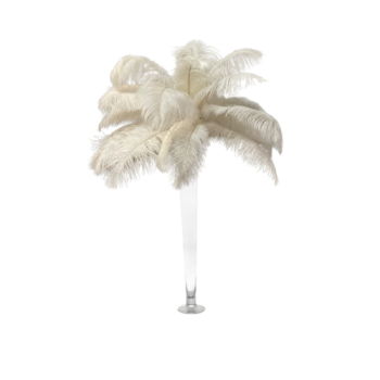 vase flûte avec grandes plumes d'autruche