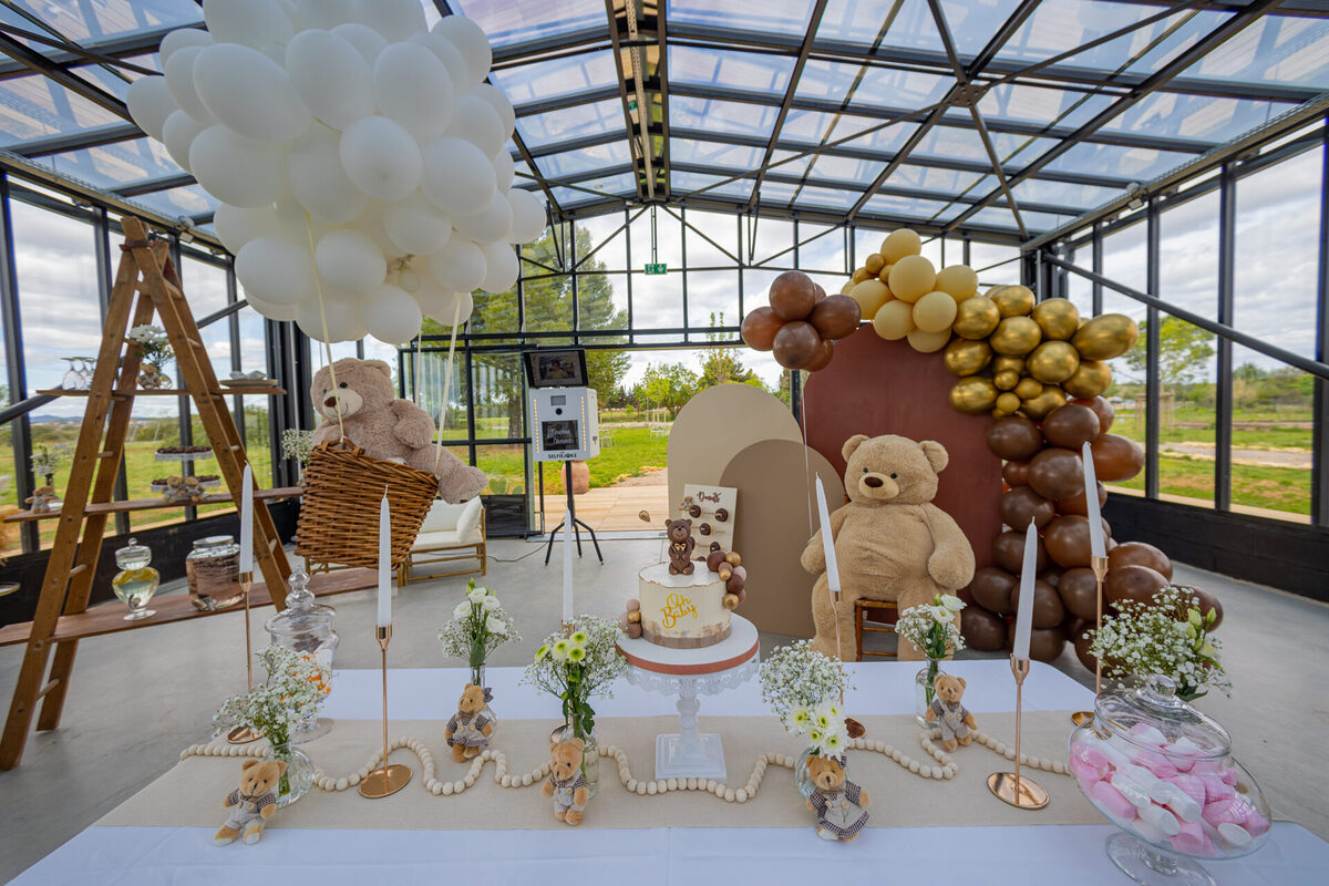 location decoration mariage anniversaire bapteme nounours