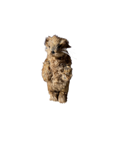 marmotte