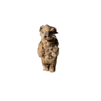 marmotte