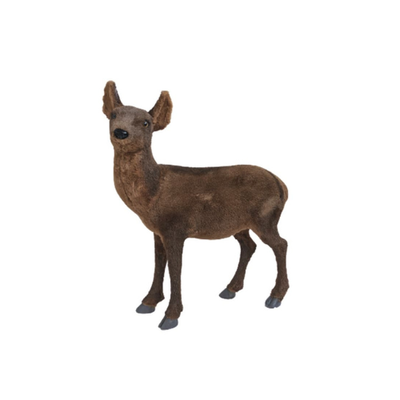 Location Biche