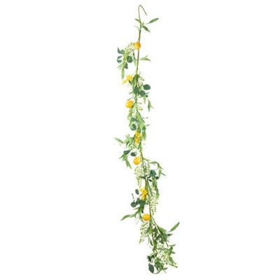 Location Guirlande Mimosa Citrons et Feuillages
