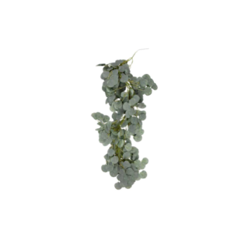 guirlande d'eucalyptus