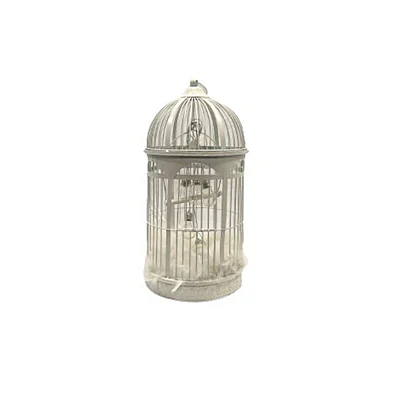 Location Cage à oiseaux vintage