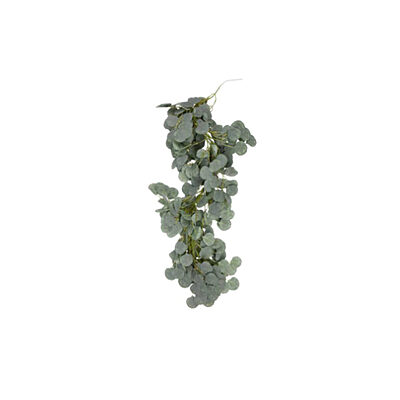 Location Guirlande d'Eucalyptus