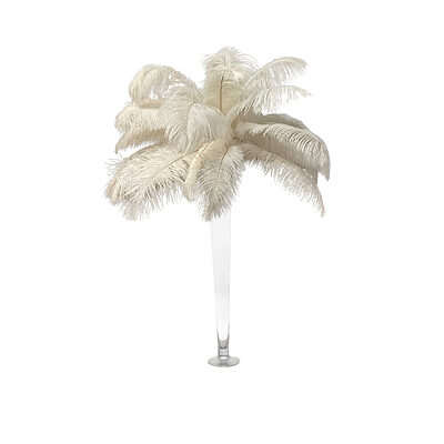 Location Vase flûte avec grandes plumes d'autruche