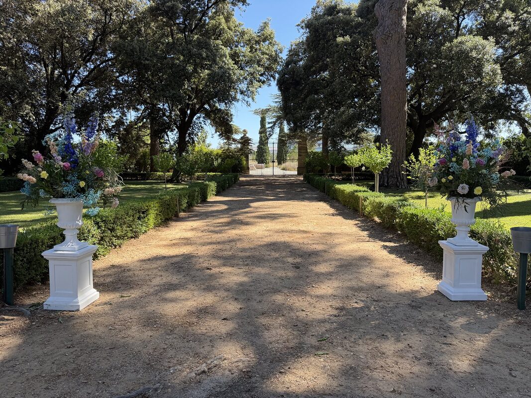 Allée de parc bordée de buis, encadrée de deux vases Médicis blancs fleuris sur colonnes blanches, grille du domaine au fond