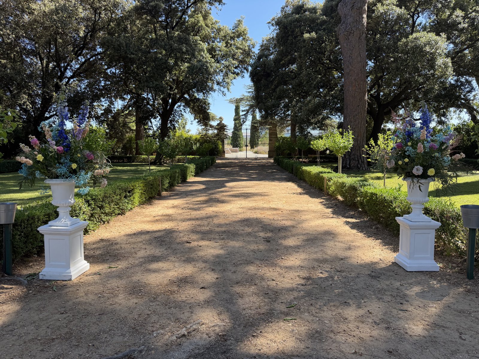 Allée de parc bordée de buis, encadrée de deux vases Médicis blancs fleuris sur colonnes blanches, grille du domaine au fond