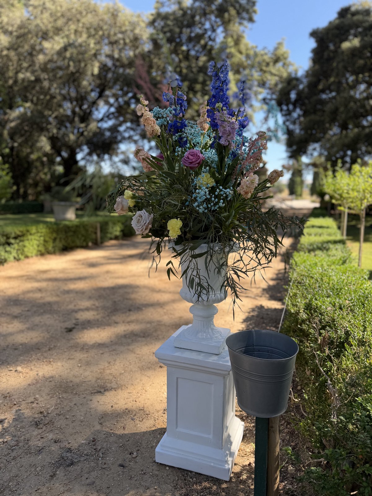 Vase Médicis blanc sur colonne blanche, bouquet de delphiniums bleus, roses et gypsophile, au bord d’une allée de buis