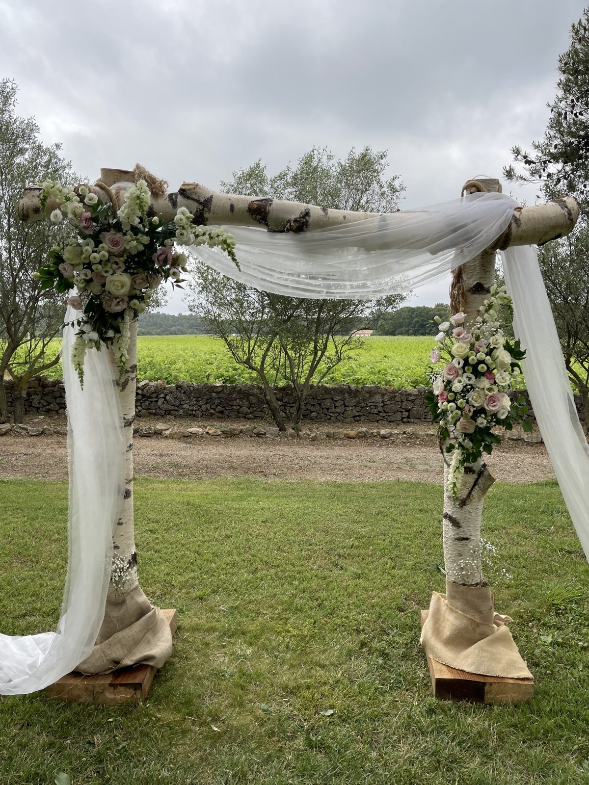 Arche de cérémonie en bouleau blanc drapée de voile blanc et fleurie de roses, installée sur la pelouse face aux vignes