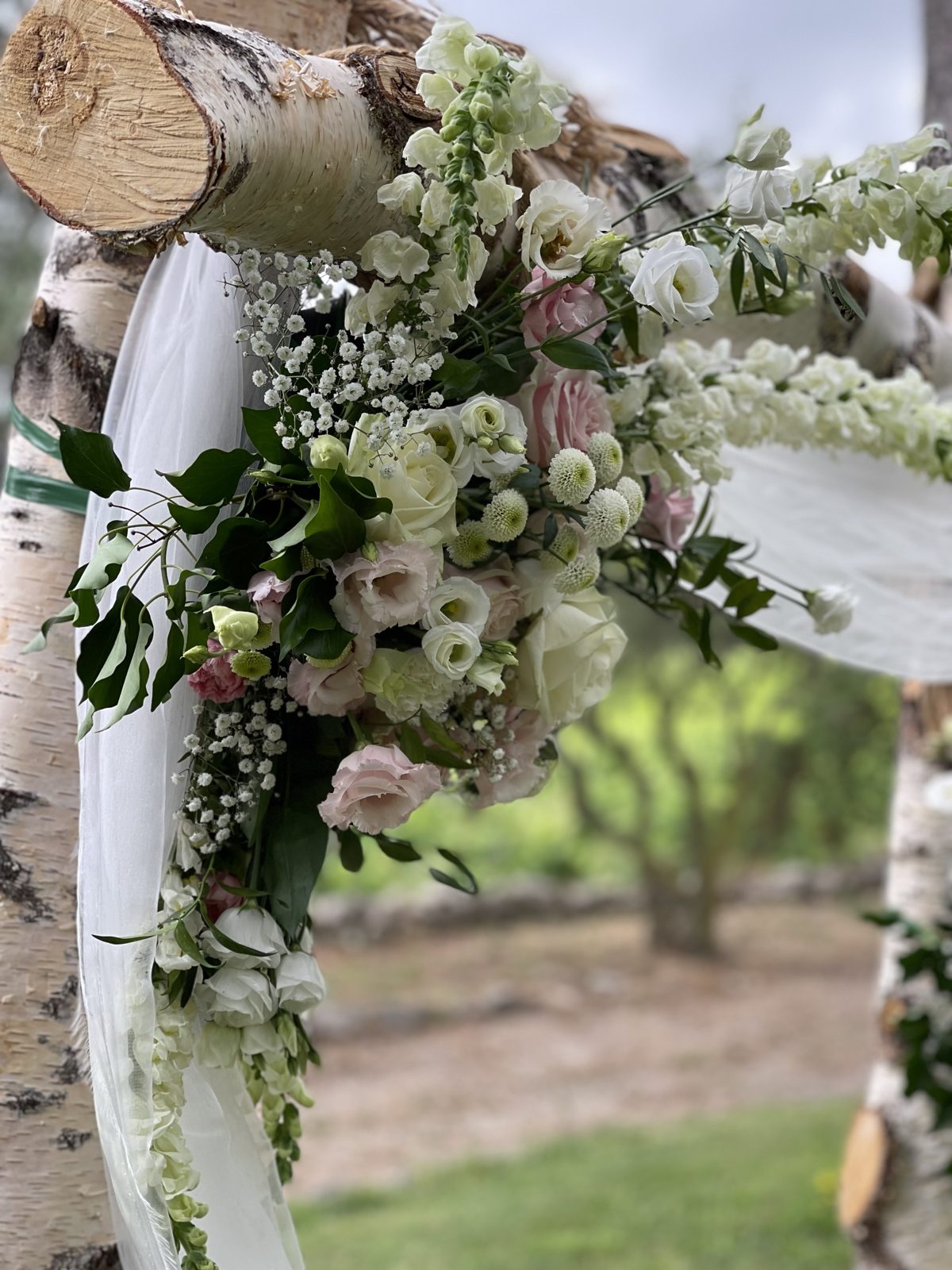Gros plan d’une composition florale blanche et rose pâle fixée au bouleau d’une arche, voile blanc en arrière-plan