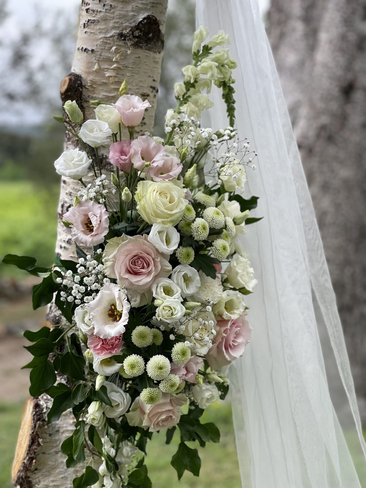 Cascade de roses poudrées, lisianthus et gypsophile le long d’un tronc de bouleau, voile blanc tombant à côté
