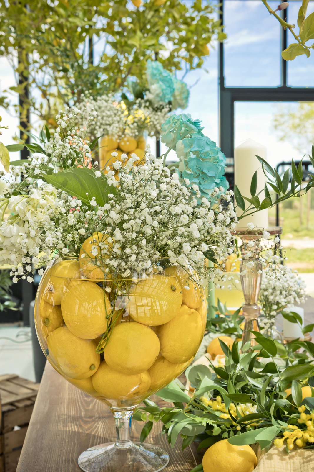 Grand verre ballon rempli de citrons et garni de gypsophile et d’hortensias bleus, citronnier et verrière en arrière-plan