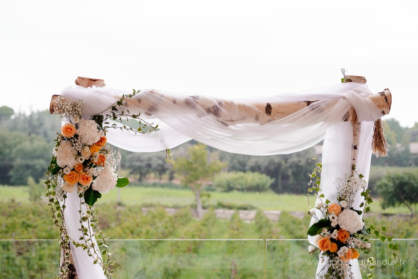 Arche en bois de bouleau blanc drapée d’organza blanc, ornée de roses pêche, hortensias et lierre, vignes en fond