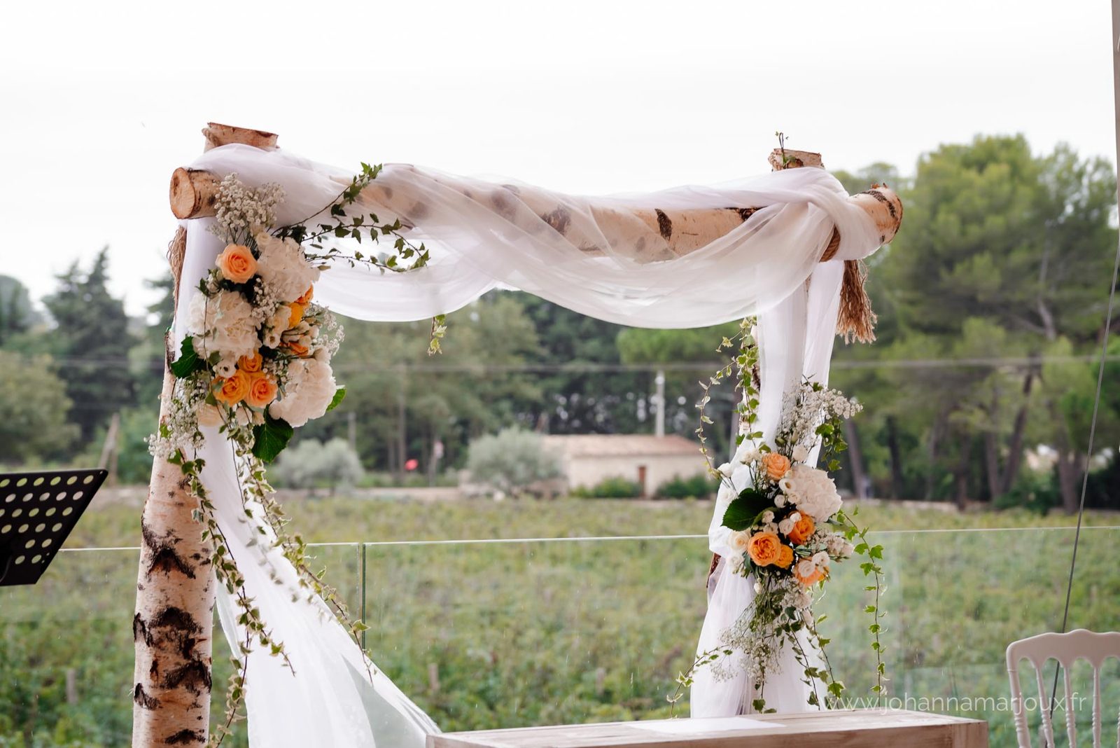 Gros plan sur l’arche en bois de bouleau blanc drapée d’organza, compositions de roses pêche et lierre retombant