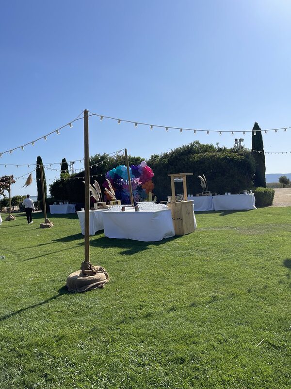 Guirlandes guinguette tendues sur des mâts en bois à pied de jute au-dessus d’une pelouse, buffets nappés de blanc et pampas