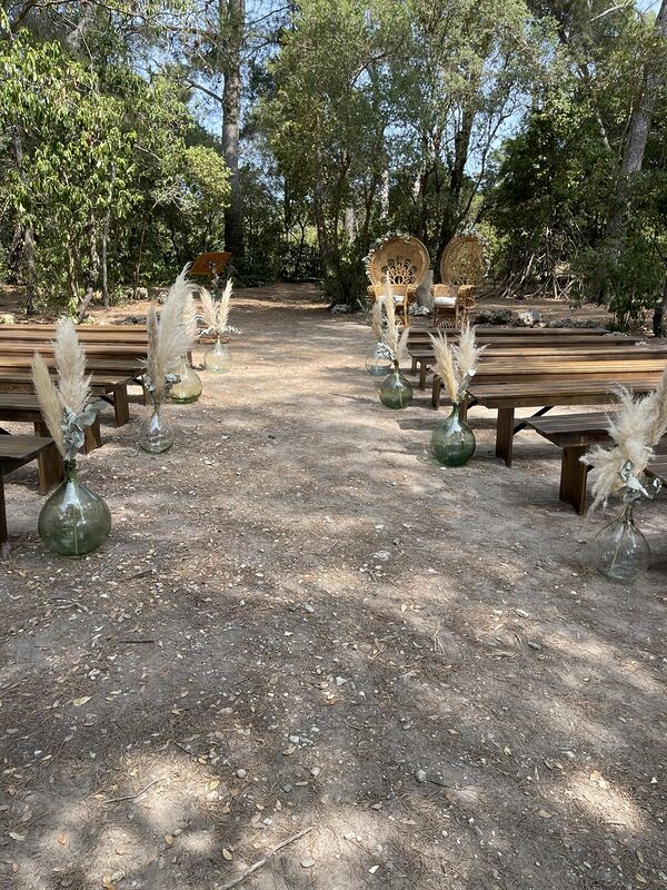 Allée de cérémonie sous les pins, bordée de dames-jeannes garnies de pampas, bancs en bois, fauteuils paon en rotin et pupitre au fond