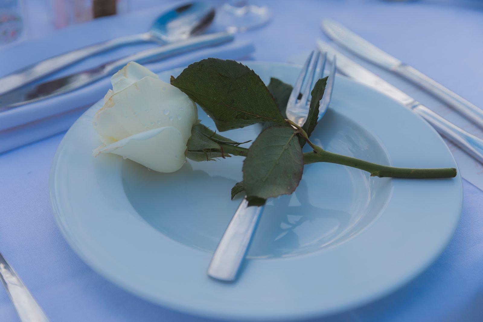 Rose blanche posée sur une assiette blanche avec une fourchette, détail d’une table nappée de blanc