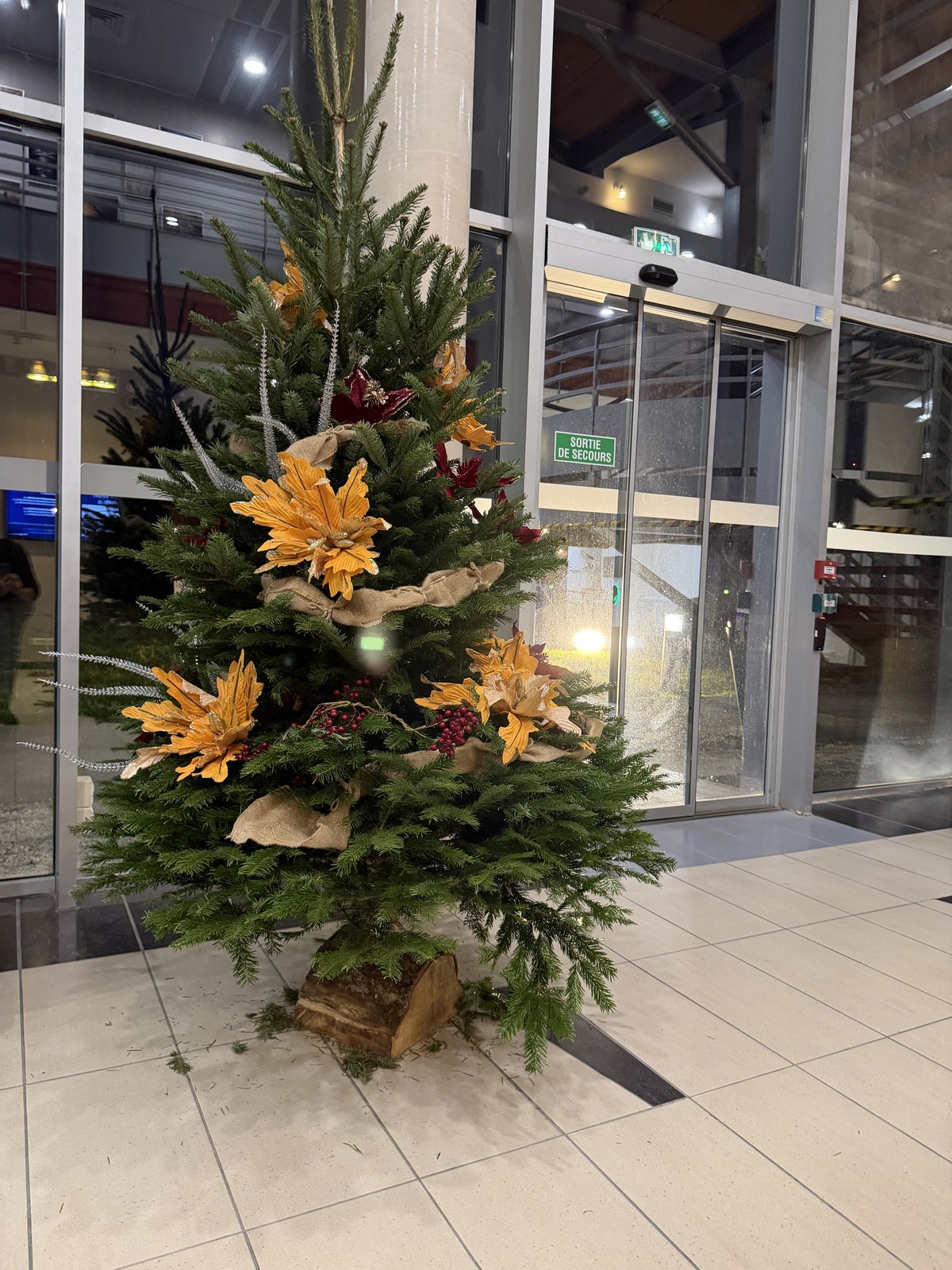 Sapin naturel décoré de fleurs séchées dorées et de toile de jute, dans un hall d’entrée vitré au sol carrelé