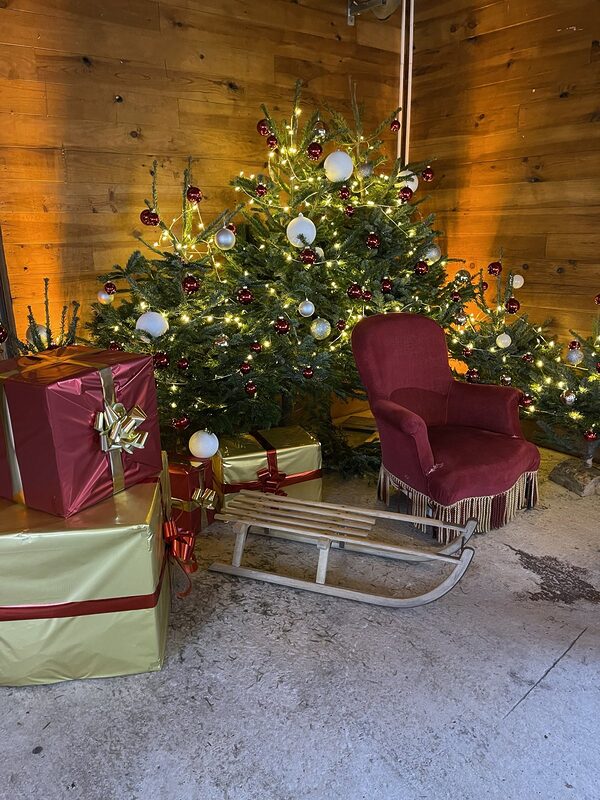 Luge en bois dressée devant les sapins décorés et les cadeaux rouges et dorés