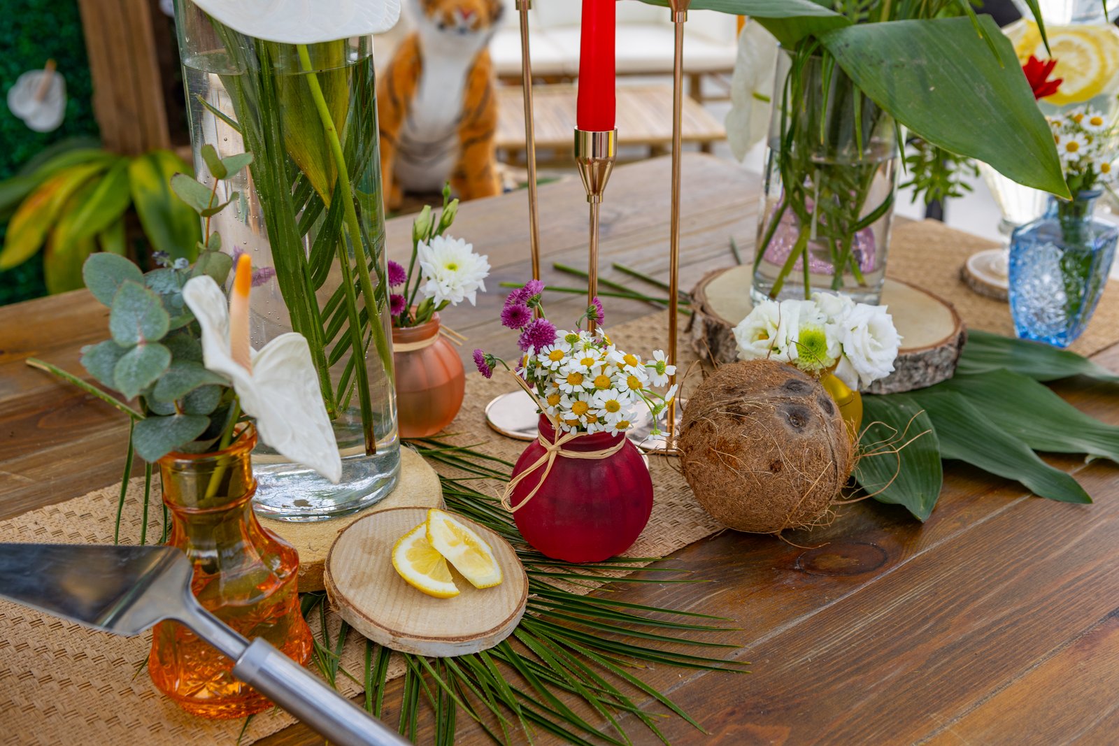 Petits vases colorés fleuris, noix de coco, citron sur rondin de bois et bougie rouge sur une table en bois brut